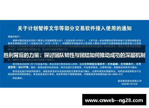 胜利背后的力量：探讨团队韧性与团结如何推动成功的深层机制