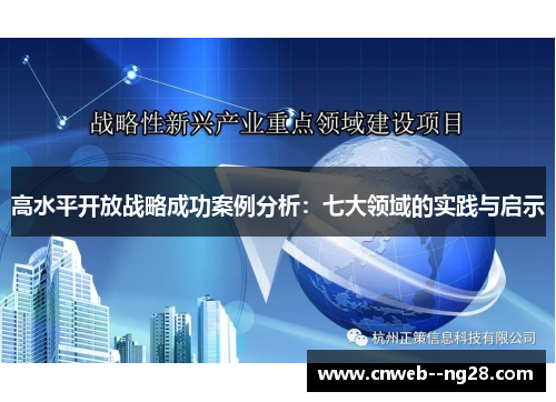 高水平开放战略成功案例分析：七大领域的实践与启示