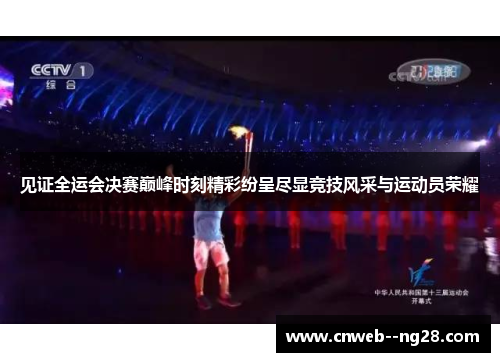 见证全运会决赛巅峰时刻精彩纷呈尽显竞技风采与运动员荣耀