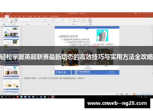 轻松掌握英超联赛最新动态的高效技巧与实用方法全攻略