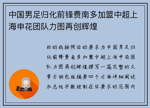 中国男足归化前锋费南多加盟中超上海申花团队力图再创辉煌